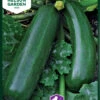 Zucchini Diamant F1 | Zucchinisamen Von Nelson Garden
