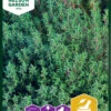 Thymian | Thymiansamen Von Nelson Garden