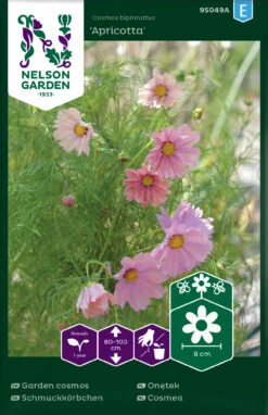 Schmuckkörbchen Apricotta | Cosmeasamen Von Nelson Garden