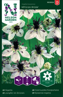 Schwarzkümmel African Bride | Kümmelsamen Von Nelson Garden