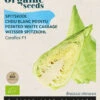 Weißer Spitzkohl Caraflex F1 | BIO Weißkohlsamen Von Buzzy Seeds