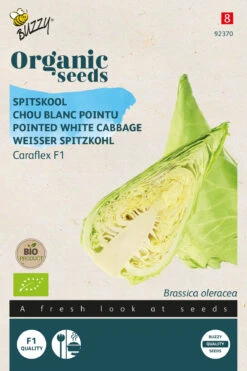 Weißer Spitzkohl Caraflex F1 | BIO Weißkohlsamen Von Buzzy Seeds