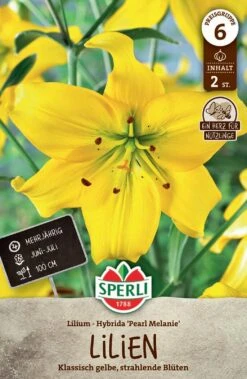 Lilie Pearl Melanie (2 Stück) | Lilienzwiebeln Von Sperli