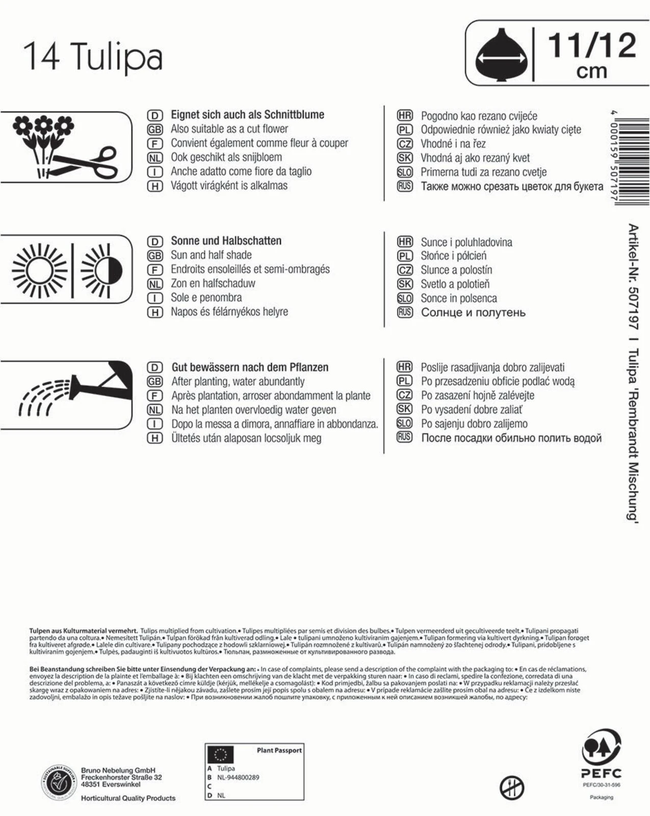 Mega-Pack Rembrandt-Tulpen Mischung (14 Stück) | Tulpenzwiebeln Von Kiepenkerl 2 Mega-Pack Rembrandt-Tulpen Mischung (14 Stück) | Tulpenzwiebeln Von Kiepenkerl – Bild 2