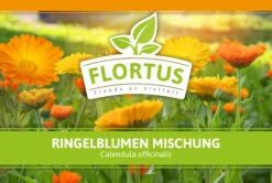 Ringelblumen Mischung | Blumenwiese Von FLORTUS 13 Ringelblumen Mischung | Blumenwiese Von FLORTUS -Angebote Pegasus Store 554533 Ringelblumen Mischung 1 kg 530747 Ringelblumen Mischung 1 kg 2000 0209 2