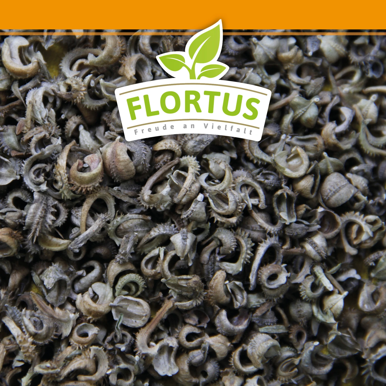 Ringelblumen Mischung | Blumenwiese Von FLORTUS 3 Ringelblumen Mischung | Blumenwiese Von FLORTUS – Bild 3