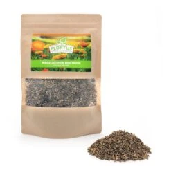 Ringelblumen Mischung | Blumenwiese Von FLORTUS 10 Ringelblumen Mischung | Blumenwiese Von FLORTUS -Angebote Pegasus Store 554533 Ringelblumen Mischung 2000 0727 0