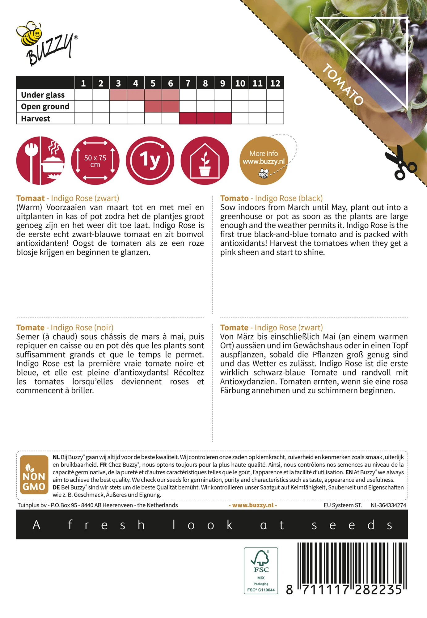 Tomate Pomodori Indigo Rose | Fleischtomatensamen Von Buzzy Seeds 1 Tomate Pomodori Indigo Rose | Fleischtomatensamen Von Buzzy Seeds