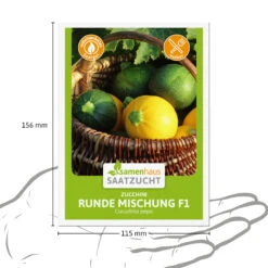 Zucchini Runde Mischung F1 | Zucchinisamen Von Samenhaus Saatzucht -Angebote Pegasus Store 556224 Zucchini Runde Mischung F1 15 Korn 2000 0800 3