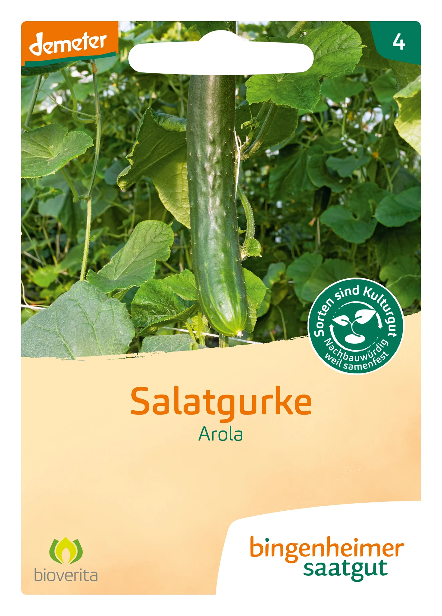 Salatgurke Arola | BIO Salatgurkensamen Von Bingenheimer Saatgut 2 Salatgurke Arola | BIO Salatgurkensamen Von Bingenheimer Saatgut – Bild 2