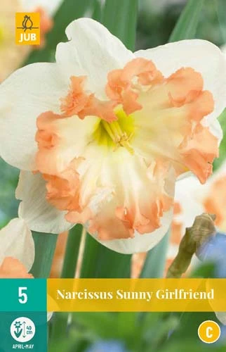 Narzisse Sunny Girlfriend (5 Stück) | Narzissenzwiebeln Von Jub Holland 1 Narzisse Sunny Girlfriend (5 Stück) | Narzissenzwiebeln Von Jub Holland