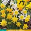Narzisse Botanisch Mix (10 Stück) | Narzissenzwiebeln Von Jub Holland