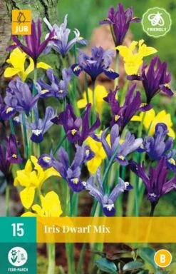 Iris Dwarf Mix (15 Stück) | Schwertlilienknollen Von Jub Holland