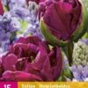 Tulpe / Hasenglöckchen Dazzling Purple (15 Stück) | Blumenzwiebelmischungen Von Jub Holland