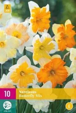 Narzisse Butterfly Mix (10 Stück) | Narzissenzwiebeln Von Jub Holland
