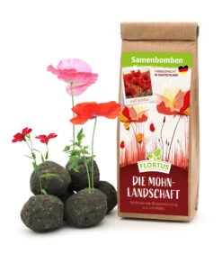 Samenbomben Die Mohnlandschaft (6 Stück) | Mohnsamen Von FLORTUS -Angebote Pegasus Store 562163 Samenbomben Die Mohnlandschaft 6 Stueck 2000 1054 1