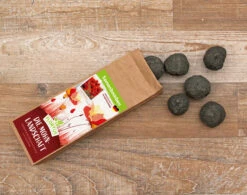 Samenbomben Die Mohnlandschaft (6 Stück) | Mohnsamen Von FLORTUS -Angebote Pegasus Store 562163 Samenbomben Die Mohnlandschaft 6 Stueck 2000 1054 3