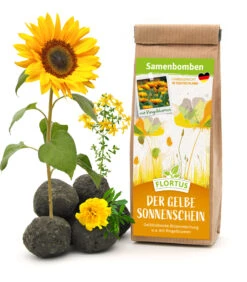 Samenbomben Der Gelbe Sonnenschein (6 Stück) | Blumensamenmischung Von FLORTUS -Angebote Pegasus Store 562164 Samenbomben Der Gelbe Sonnenschein 6 Stueck 2000 1055 1
