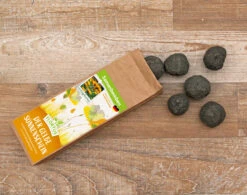 Samenbomben Der Gelbe Sonnenschein (6 Stück) | Blumensamenmischung Von FLORTUS -Angebote Pegasus Store 562164 Samenbomben Der Gelbe Sonnenschein 6 Stueck 2000 1055 3