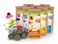 Samenbomben Set (8 Päckchen) | Blumensamenmischung Von FLORTUS -Angebote Pegasus Store 562498 Samenbomben Set 8 Paeckchen 2000 2367 1