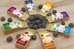 Samenbomben Set (8 Päckchen) | Blumensamenmischung Von FLORTUS -Angebote Pegasus Store 562498 Samenbomben Set 8 Paeckchen 2000 2367 3