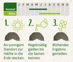 Samenbomben Set (8 Päckchen) | Blumensamenmischung Von FLORTUS -Angebote Pegasus Store 562498 Samenbomben Set 8 Paeckchen 2000 2367 4