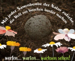 Samenbomben Set (8 Päckchen) | Blumensamenmischung Von FLORTUS -Angebote Pegasus Store 562498 Samenbomben Set 8 Paeckchen 2000 2367 7 1