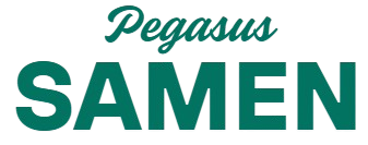 Angebote Pegasus Store