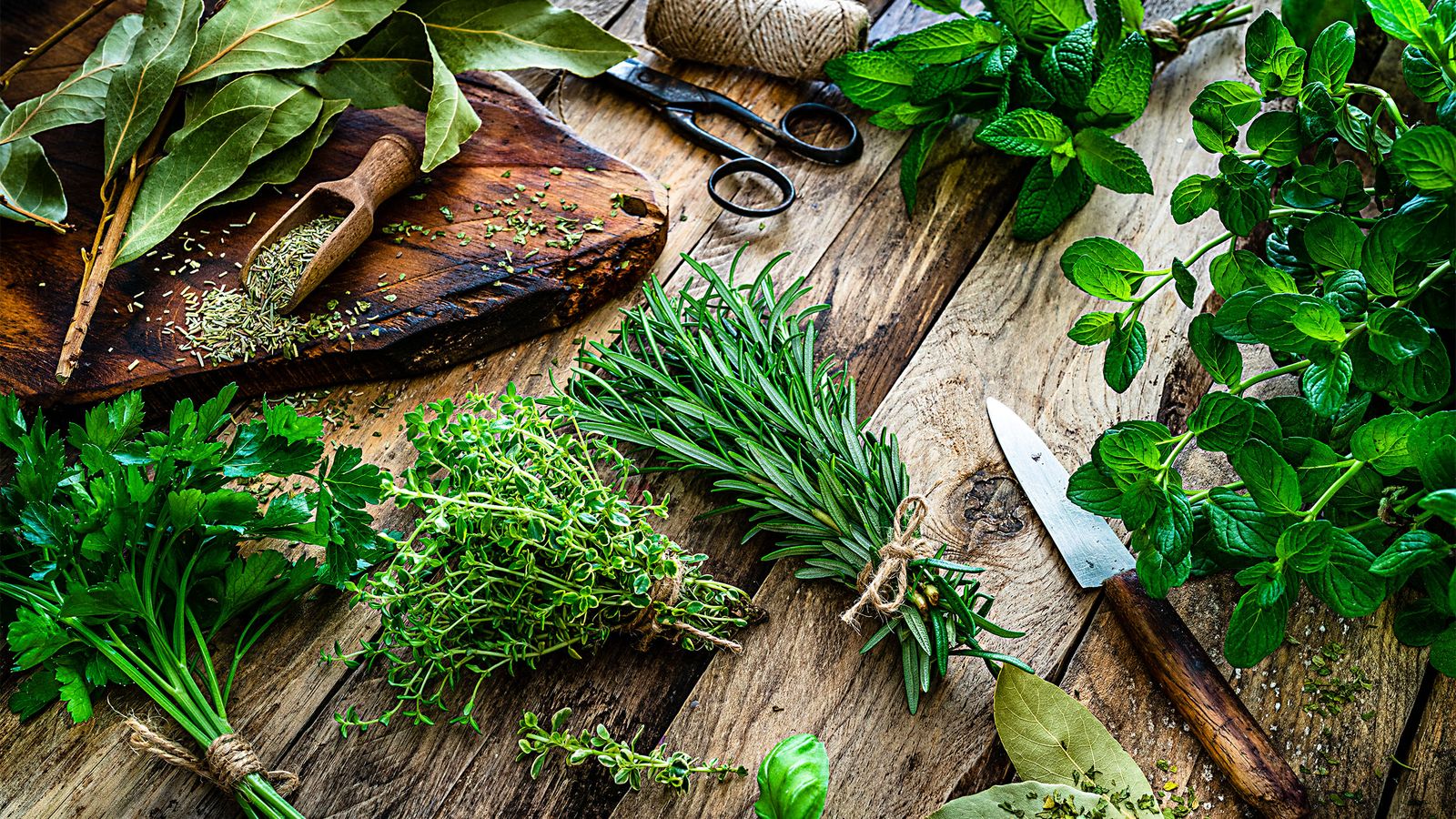 Titelseite 2 Titelseite -Angebote Pegasus Store original